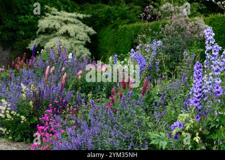 Jardins d'Altamont, Corona Nord, frontière commémorative, frontière herbacée, double frontière, lupin, delphinium, géranium, nepeta, agastache, salvia, rose, rose Banque D'Images