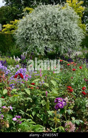 Jardins d'Altamont, Corona Nord, frontière commémorative, frontière herbacée, double frontière, géranium, nepeta, agastache, salvia, rose, roses, pérenne, mélanger Banque D'Images