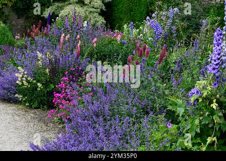 Jardins d'Altamont, Corona Nord, frontière commémorative, frontière herbacée, double frontière, lupin, delphinium, géranium, nepeta, agastache, salvia, rose, rose Banque D'Images