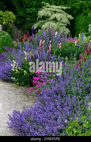 Jardins d'Altamont, Corona Nord, frontière commémorative, frontière herbacée, double frontière, lupin, delphinium, géranium, nepeta, agastache, salvia, rose, rose Banque D'Images