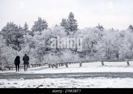 Winter im Taunus BEI wiederholten Schneeschauern ist die Landschaft am Großen Feldberg mit einer dünnen Schneedecke und Raureif überzogen., Schmitten Hessen Deutschland *** hiver dans le Taunus avec des averses de neige répétées, le paysage de la Großer Feldberg est recouvert d'une fine couche de neige et de gel des palourdes , Schmitten Hessen Allemagne Banque D'Images