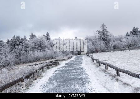 Winter im Taunus BEI wiederholten Schneeschauern ist die Landschaft am Großen Feldberg mit einer dünnen Schneedecke und Raureif überzogen., Schmitten Hessen Deutschland *** hiver dans le Taunus avec des averses de neige répétées, le paysage de la Großer Feldberg est recouvert d'une fine couche de neige et de gel des palourdes , Schmitten Hessen Allemagne Banque D'Images