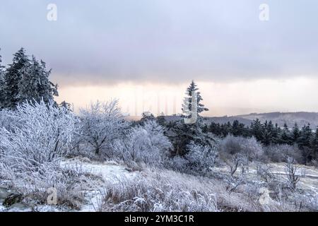 Winter im Taunus BEI wiederholten Schneeschauern ist die Landschaft am Großen Feldberg mit einer dünnen Schneedecke und Raureif überzogen., Schmitten Hessen Deutschland *** hiver dans le Taunus avec des averses de neige répétées, le paysage de la Großer Feldberg est recouvert d'une fine couche de neige et de gel des palourdes , Schmitten Hessen Allemagne Banque D'Images