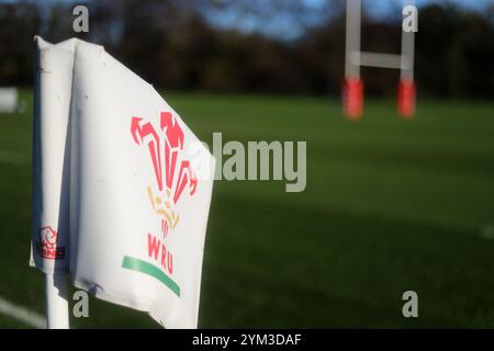 Cardiff, Royaume-Uni. 20 novembre 2024. Vue générale du logo Welsh Rugby Union sur le drapeau de la ligne de contact. Entraînement de l'équipe de rugby du pays de Galles, Hensol, Vale of Glamorgan le mercredi 20 novembre 2024. L'équipe s'entraîne en prévision du prochain match international d'automne contre l'Afrique du Sud ce week-end. photo par Andrew Orchard/Alamy Live News Banque D'Images