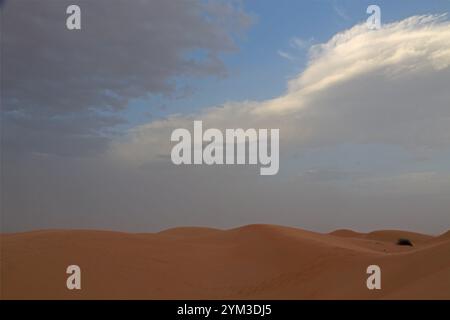 Dunes de sable dans le désert de Wahiba Sands Oman Banque D'Images