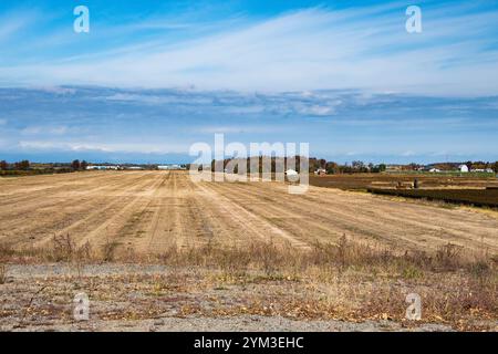 Terres agricoles à Catharines, Ontario, Canada Banque D'Images