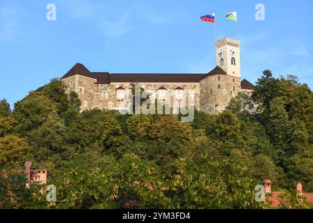 Le Château de Ljubljana, Slovénie Banque D'Images