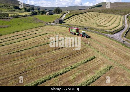 Agriculteur qui reçoit de l'ensilage avec un wagon à fourrage, sur une ferme de colline près de Hawes dans les Yorkshire Dales, Royaume-Uni. Banque D'Images