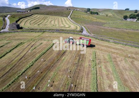 Agriculteur qui reçoit de l'ensilage avec un wagon à fourrage, sur une ferme de colline près de Hawes dans les Yorkshire Dales, Royaume-Uni. Banque D'Images