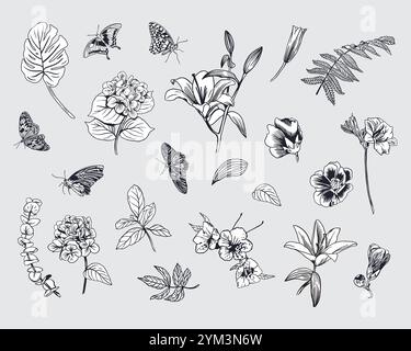 Fleurs et feuilles serties à l'encre. Monstera, fougère, hortensia, lis, papillons, eucalyptus. Illustration vectorielle. Style graphique. Pour les compositions de cartes Illustration de Vecteur