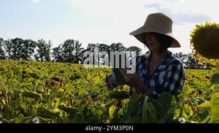 Agronome féminin utilisant la tablette numérique à la prairie de tournesol au jour ensoleillé. Agriculteur surveillant la récolte au champ de fleurs au coucher du soleil. Magnifique pittoresque Banque D'Images