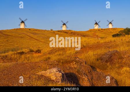 Moulins à vent près d'Alcazar de San Juan, Tolède, Castilla la Mancha, Espagne Banque D'Images