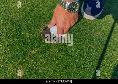 Gros plan de la main d'un golfeur senior portant une montre-bracelet, récupérant une balle de golf dans le trou sur le green après avoir terminé une partie. L'image highlig Banque D'Images