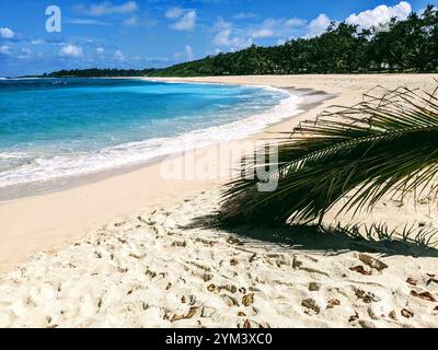 Vue sur sable blanc et eau bleue, plage de la Cambuse, île française de Maurice Banque D'Images
