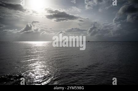 Une vue sur le lac Okeechobee depuis Port Mayaka alors que les aigrettes trouvent du répit sur une île flottante et que le soleil se prépare à se coucher sur le lac. Lac Okeechobee et la voie navigable Okeechobee! Situé dans le centre et le sud de la Floride, le lac de 451 000 acres et la voie navigable de 154 km de long s'étendent de l'océan Atlantique à Stuart, jusqu'au golfe du Mexique à ft. Myers. La voie navigable traverse le lac Okeechobee et se compose de la rivière Caloosahatchee à l'ouest du lac et du canal Lucie à l'est du lac. Le lac Okeechobee et le projet de voie navigable Okeechobee font partie du système complexe de gestion de l'eau KNO Banque D'Images