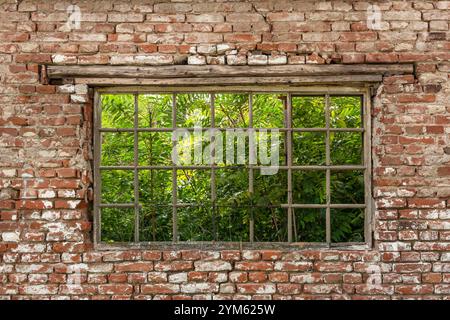 Vieilles fenêtres avec des barres sur un mur de briques rouges d'une maison en ruine. Extérieur d'un bâtiment délabré avec des buissons à l'extérieur de la fenêtre, gros plan Banque D'Images