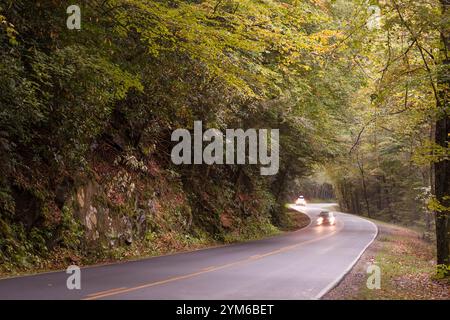 Voitures avec des lumières sur la conduite à travers le pittoresque parc national des Great Smoky Mountains, Tennessee, États-Unis Banque D'Images