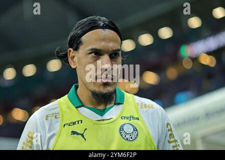 Salvador, Brésil. 20 novembre 2024. Gustavo Gomez de Palmeiras, lors du match entre Bahia et Palmeiras, pour la Serie A 2024 brésilienne, au stade Arena fonte Nova, à Salvador le 20 novembre 2024. Photo : Heuler Andrey/DiaEsportivo/Alamy Live News crédit : DiaEsportivo/Alamy Live News Banque D'Images