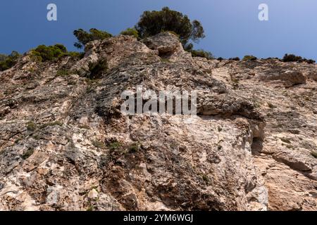 Vue détaillée d'une falaise rocheuse accidentée avec une végétation clairsemée sur l'île de Zakynthos, en Grèce, mettant en évidence les textures naturelles et les formations sous un bri Banque D'Images