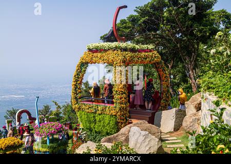 Téléphérique de fleur - la beauté dans la montagne de Ba Den - toit de la région sud-est Banque D'Images