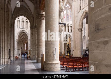 Co-Cathedrale gothique Brabant collégiale des Ss Michel et Gudule / Collegiale Sint Michiels en Sint Goedele co kathedraal (St Michel et St Gudule Banque D'Images