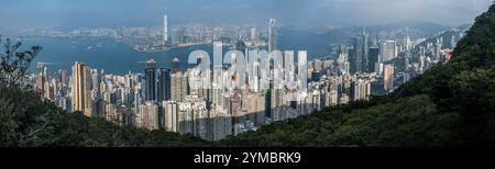 Une vue panoramique du paysage urbain de Hong Kongs depuis le sommet d'une montagne, avec de nombreux gratte-ciel, un port et une végétation luxuriante. Banque D'Images