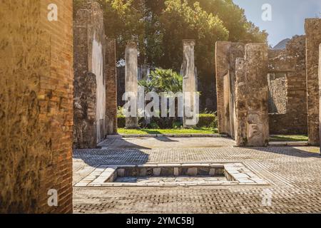 Colonnes et un arbre unique dans les ruines de Pompeji, Italie Banque D'Images