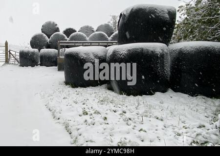 Doddiscombsleigh, Devon, Royaume-Uni. 21 novembre 2024. Météo Royaume-Uni : neige à Doddiscombsleigh, Teign Valley, Devon. Crédit : Nidpor/Alamy Live News Banque D'Images