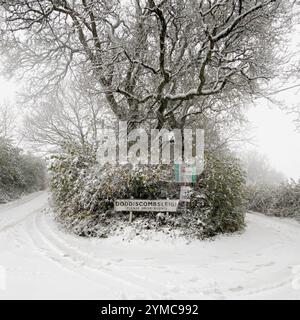 Doddiscombsleigh, Devon, Royaume-Uni. 21 novembre 2024. Météo Royaume-Uni : neige à Doddiscombsleigh, Teign Valley, Devon. Crédit : Nidpor/Alamy Live News Banque D'Images