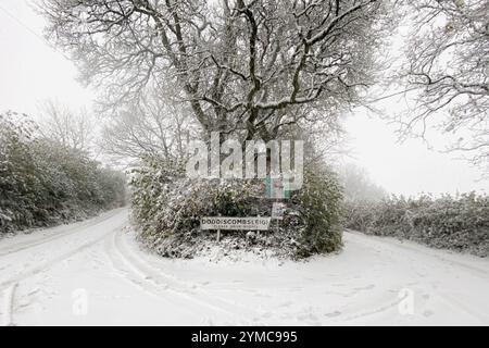 Doddiscombsleigh, Devon, Royaume-Uni. 21 novembre 2024. Météo Royaume-Uni : neige à Doddiscombsleigh, Teign Valley, Devon. Crédit : Nidpor/Alamy Live News Banque D'Images