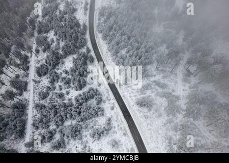 Schmitten, Allemagne. 21 novembre 2024. Une fine couche de neige repose sur les arbres du Feldberg dans le Taunus (vue aérienne avec un drone). Crédit : Boris Roessler/dpa/Alamy Live News Banque D'Images