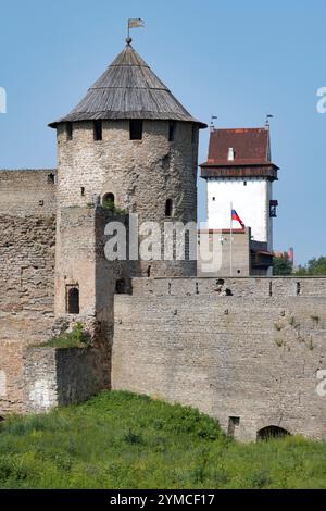 La Tour de porte de la forteresse Ivangorod et la Tour longue Herman du château de Narva un jour ensoleillé de juillet. Frontière entre la Russie et l'Estonie Banque D'Images