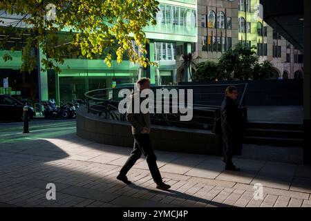 Lumière du soleil d'automne à la fois sur les arbres qui perdent leurs feuilles et reflétée par les couleurs vertes sur la modernité urbaine, dans la City de Londres, le quartier financier de la capitale, le 20 novembre 2024, à Londres, en Angleterre. Banque D'Images