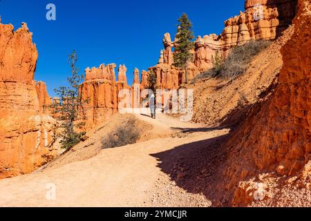 Vue arrière de la femme en randonnée dans le parc national de Bryce Canyon un jour ensoleillé Banque D'Images