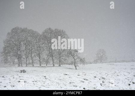 Leer, Allemagne. 21 novembre 2024. Vue d'une digue sur l'EMS. Crédit : Lars Penning/dpa/Alamy Live News Banque D'Images