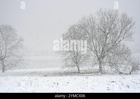 Schneefall à Ostfriesland. Blick auf das EMS-Ufer. Leer Niedersachsen Deutschland *** chutes de neige en Frise orientale vue sur la rive EMS Leer basse-Saxe Allemagne Copyright : xdiebildwerftx Banque D'Images