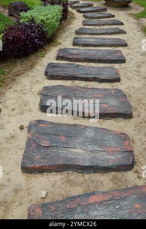 Un foothpath curvaceous faites de blocs de béton sur le jardin Banque D'Images