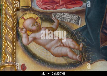 Nocera Umbra (Ombrie-pg). Galerie d'art municipale. Niccolò di Liberatore. Connu sous le nom d'Alunno. Polyptyque. 1483. Bébé Jésus avec le rouleau Banque D'Images