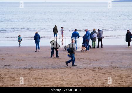 La plage de Scarborough et les gens regardent pour un groupe de marsouins Banque D'Images