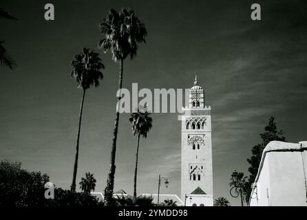 L'ancien minaret en pierre magnifique de l'emblématique ancienne mosquée Koutoubia à Marrakech au Maroc dans le Maghreb en Afrique du Nord Banque D'Images