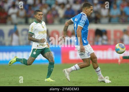 BA - SALVADOR - 11/20/2024 - BRÉSIL A 2024, BAHIA x PALMEIRAS - Gilberto, joueur de Bahia lors du match contre Palmeiras au stade Arena fonte Nova pour le championnat brésilien A 2024. Photo : Jhony Pinho/AGIF (photo de Jhony Pinho/AGIF/SIPA USA) Banque D'Images