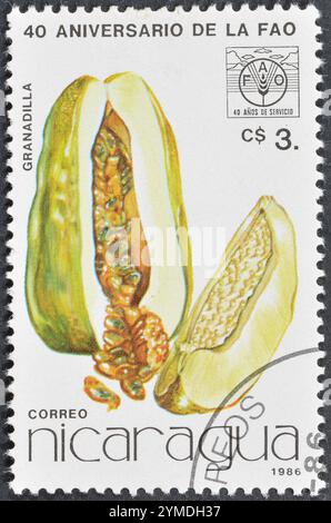 Timbre-poste oblitéré imprimé par le Nicaragua, qui montre Granadilla, FAO, 40ème anniversaire, vers 1986. Banque D'Images