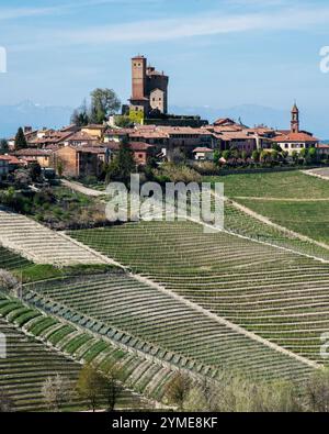 Paysages de Langhe, Italie Banque D'Images