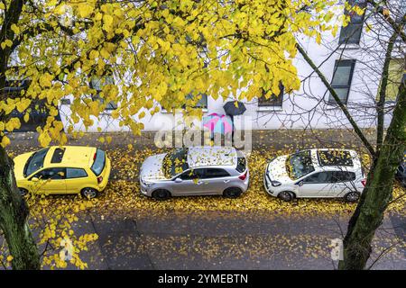 Automne, temps pluvieux, rue résidentielle, véhicules stationnés, feuilles mouillées sur la rue, trottoir, arbre, arbre, citron vert, avec des feuilles de couleur jaune, Essen, N Banque D'Images