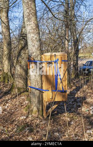 Hôtel d'insectes dans une boîte en bois pour coléoptères sur un tronc d'arbre dans une forêt pour la conservation de la nature Suède Banque D'Images