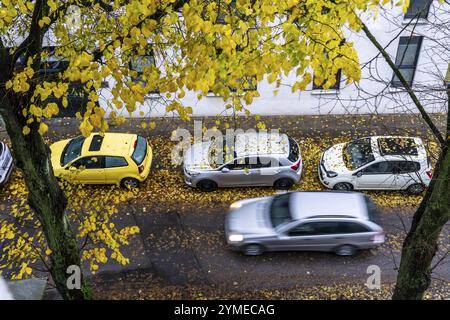 Automne, temps pluvieux, rue résidentielle, véhicules stationnés, feuilles mouillées sur la rue, trottoir, arbre, arbre, citron vert, avec des feuilles de couleur jaune, Essen, N Banque D'Images