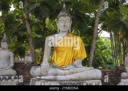 Statues de Bouddha autour du Grand Chedi Chaya Mongkol, Wat Yai Chai Mongkon, Ayutthaya, Thaïlande, Asie Banque D'Images