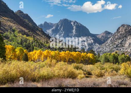 Ruisseau Rush ; East High Sierras ; boucle du lac June ; automne ; Californie Banque D'Images