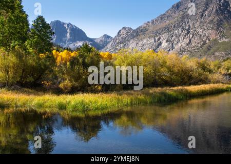 Ruisseau Rush ; East High Sierras ; boucle du lac June ; automne ; Californie Banque D'Images