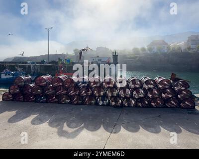 Une mouette qui s'envole avec son prix survole les pièges à coquillages empilés lors d'une journée brumeuse dans le port de Llanes, Asturies, Espagne Banque D'Images